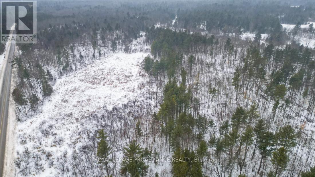 8 Clark Line Road, Addington Highlands, Ontario  K0H 1P0 - Photo 11 - X11989492