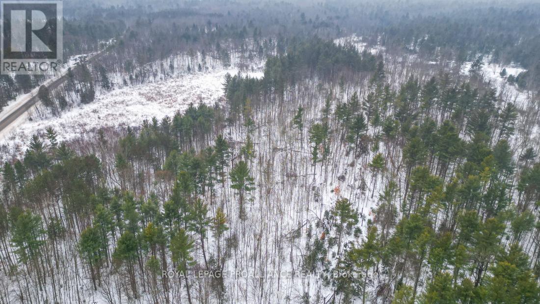 8 Clark Line Road, Addington Highlands, Ontario  K0H 1P0 - Photo 10 - X11989492