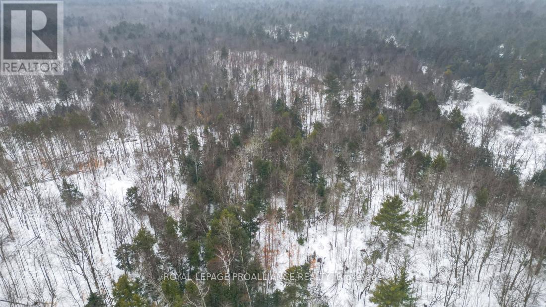 8 Clark Line Road, Addington Highlands, Ontario  K0H 1P0 - Photo 13 - X11989492