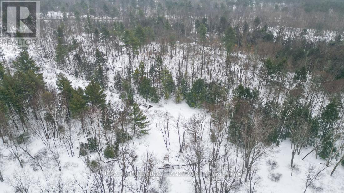 8 Clark Line Road, Addington Highlands, Ontario  K0H 1P0 - Photo 16 - X11989492