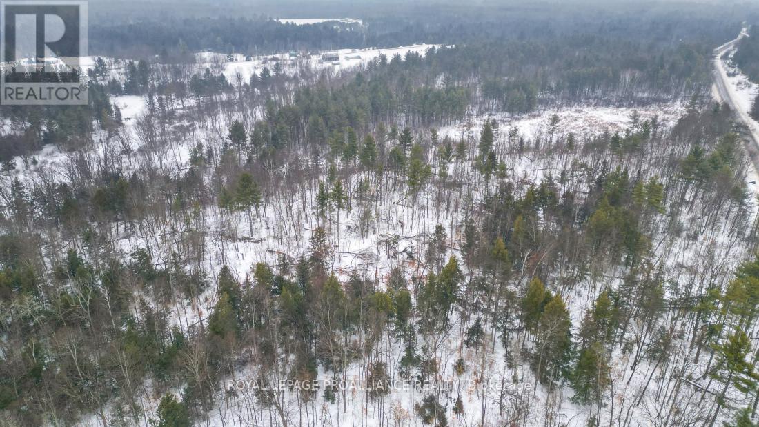 8 Clark Line Road, Addington Highlands, Ontario  K0H 1P0 - Photo 14 - X11989492