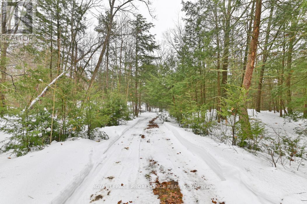 8 Clark Line Road, Addington Highlands, Ontario  K0H 1P0 - Photo 2 - X11989492