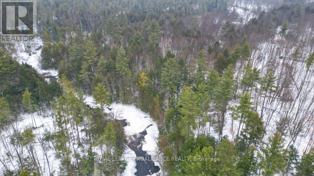 8 Clark Line Road, Addington Highlands, Ontario  K0H 1P0 - Photo 23 - X11989492