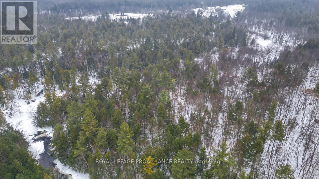 8 Clark Line Road, Addington Highlands, Ontario  K0H 1P0 - Photo 24 - X11989492