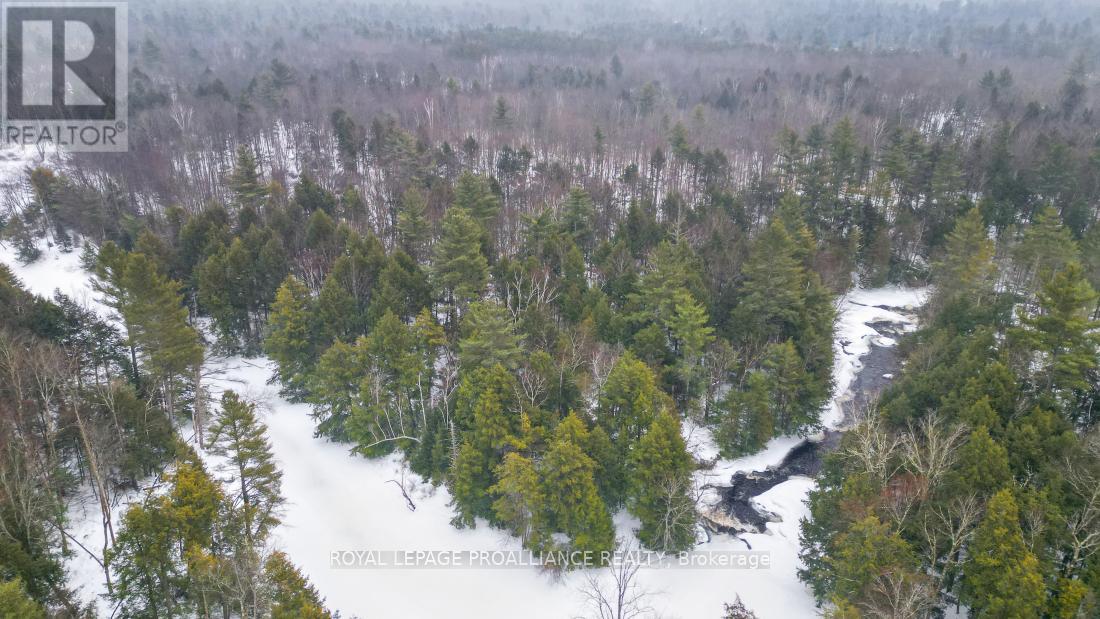 8 Clark Line Road, Addington Highlands, Ontario  K0H 1P0 - Photo 21 - X11989492