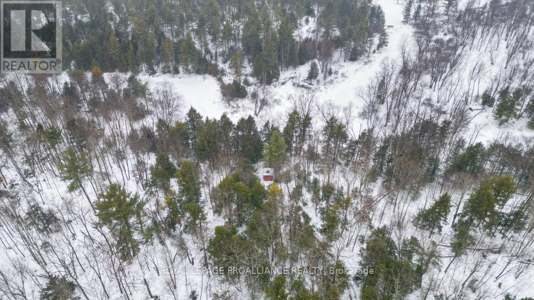 8 Clark Line Road, Addington Highlands, Ontario  K0H 1P0 - Photo 26 - X11989492