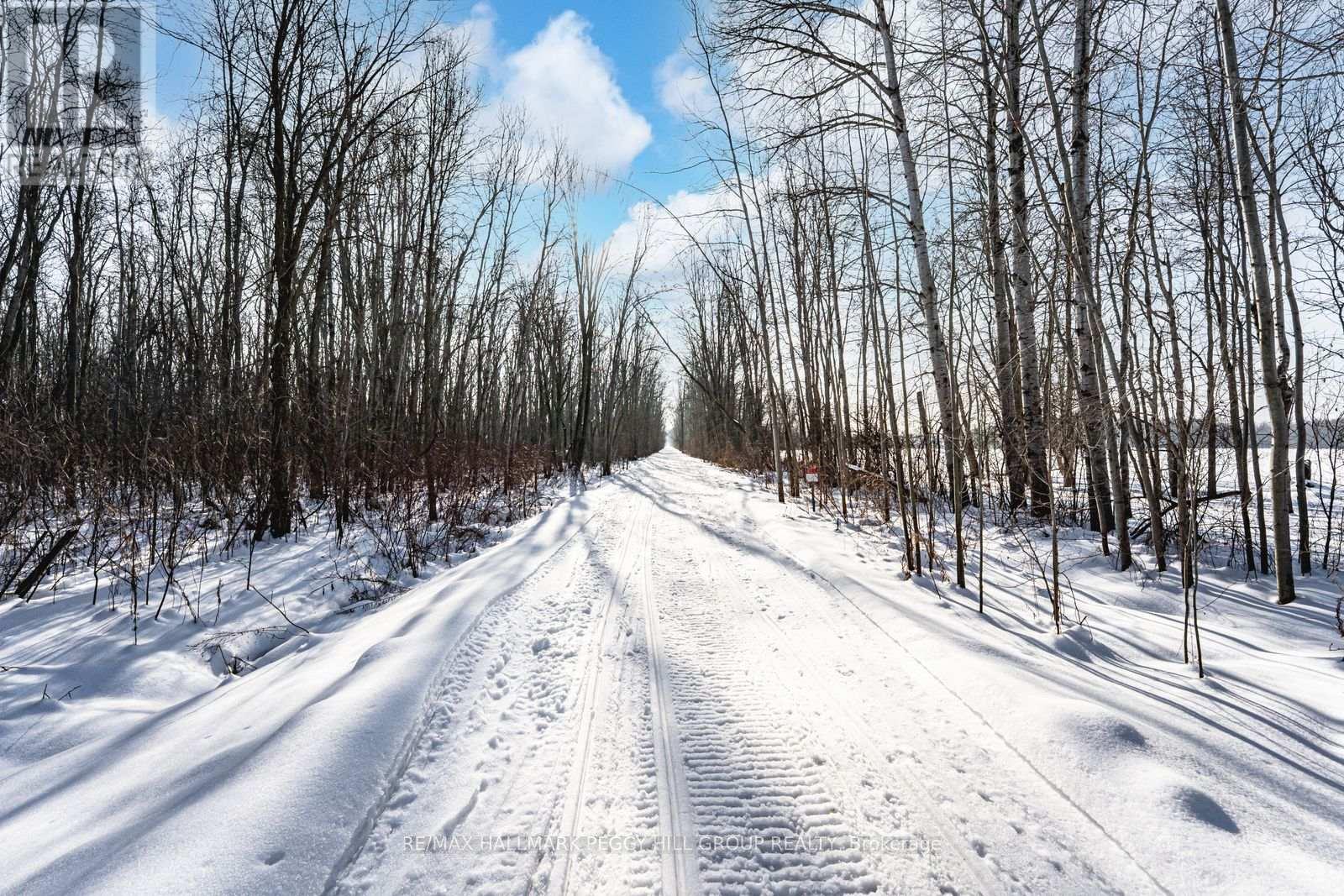 16 Heron Boulevard, Springwater, Ontario  L9X 0J1 - Photo 35 - S12688174