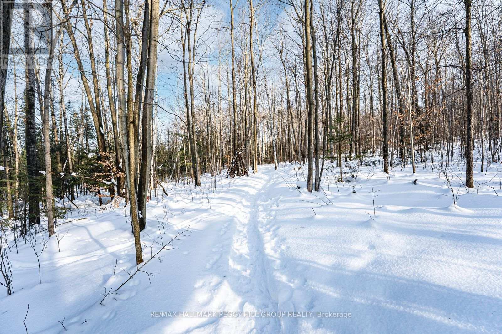 16 Heron Boulevard, Springwater, Ontario  L9X 0J1 - Photo 37 - S12688174