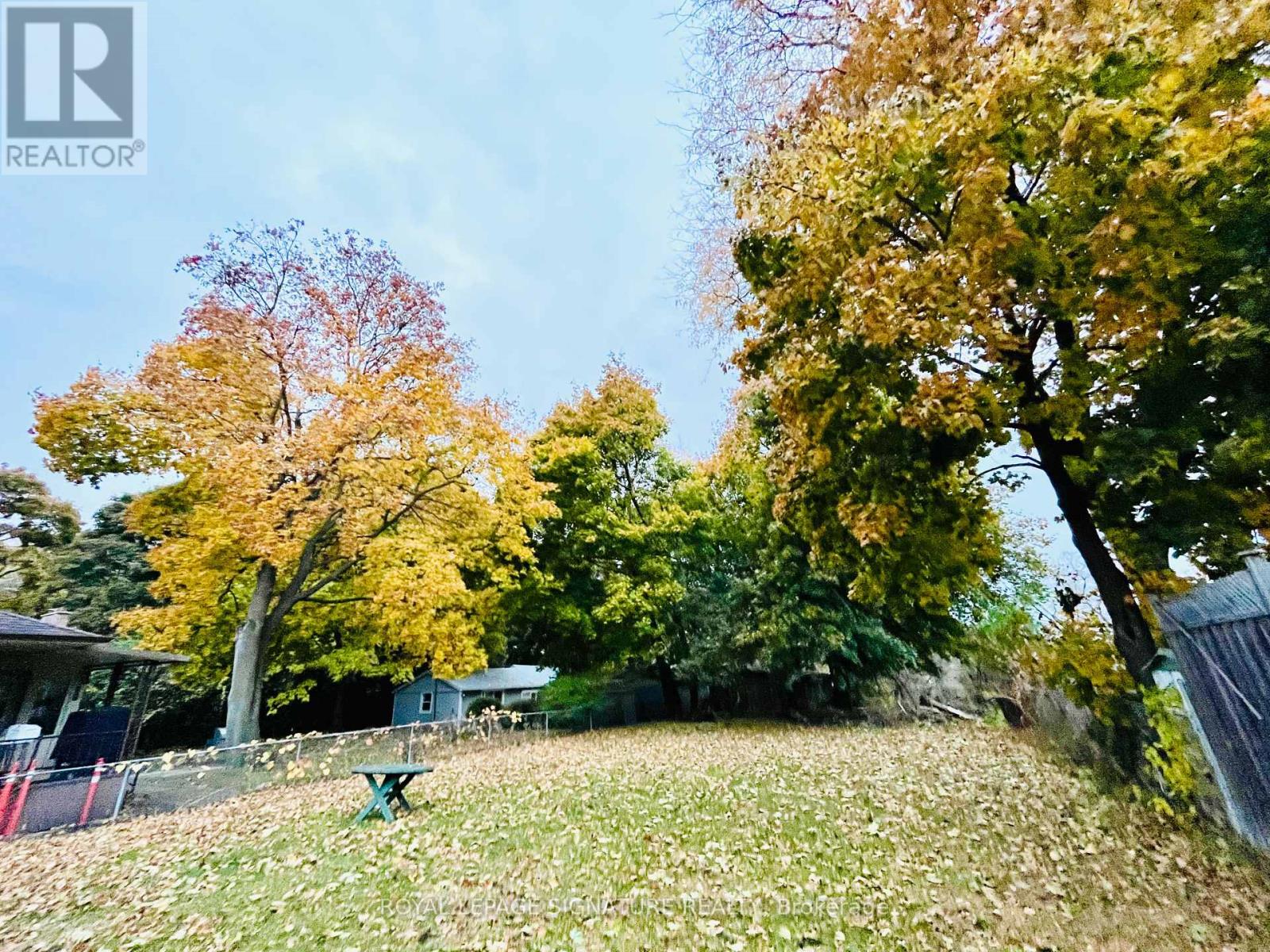 Main - 54 Riverdale Drive, Toronto, Ontario  M9V 2T3 - Photo 31 - W12688270