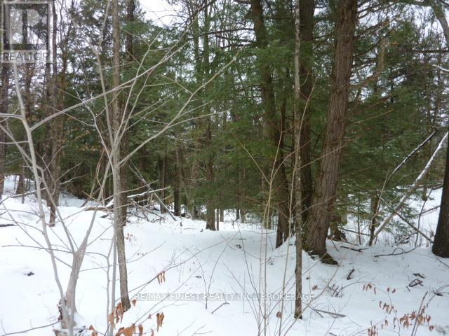 1265 West End Lane, Frontenac, Ontario  K0H 2E0 - Photo 3 - X12688326