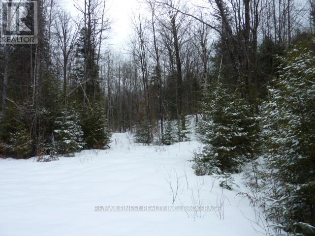 1265 West End Lane, Frontenac, Ontario  K0H 2E0 - Photo 5 - X12688326