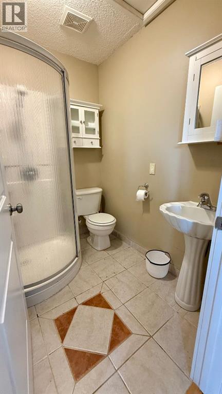 313 3 Avenue W, Hanna, Alberta  T0J 1P0 - Photo 15 - A2256645