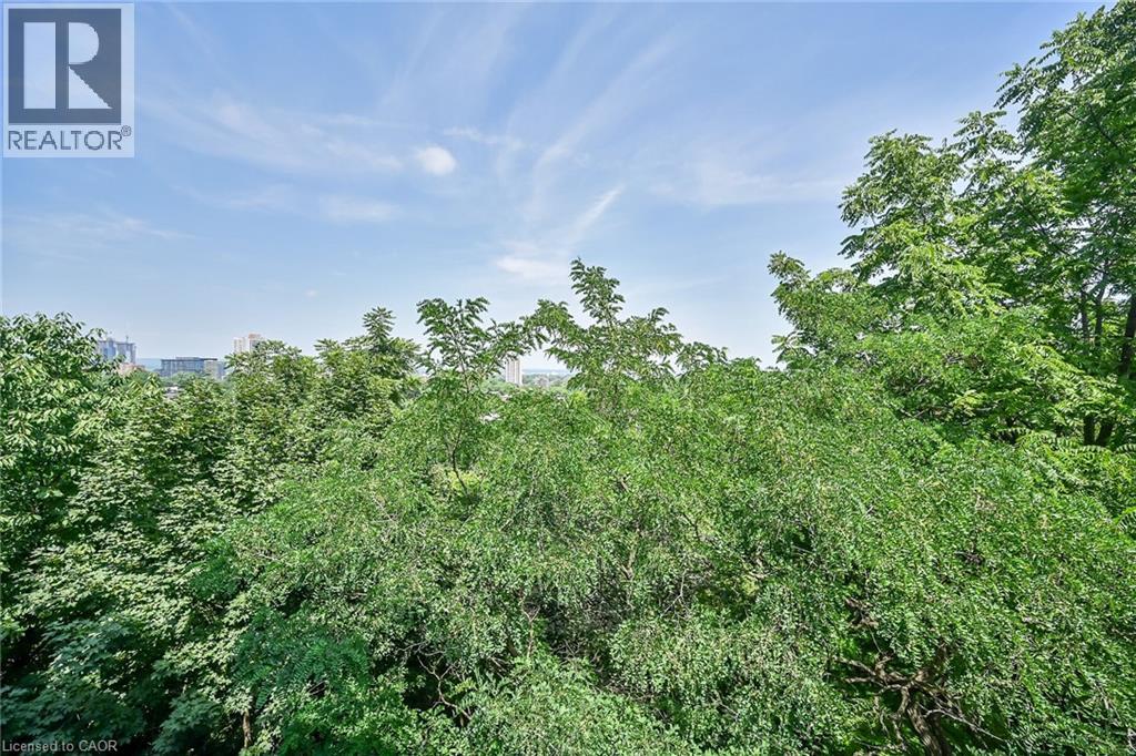 455 Charlton Avenue E Unit# 307, Hamilton, Ontario  L8N 0B2 - Photo 17 - 40797736