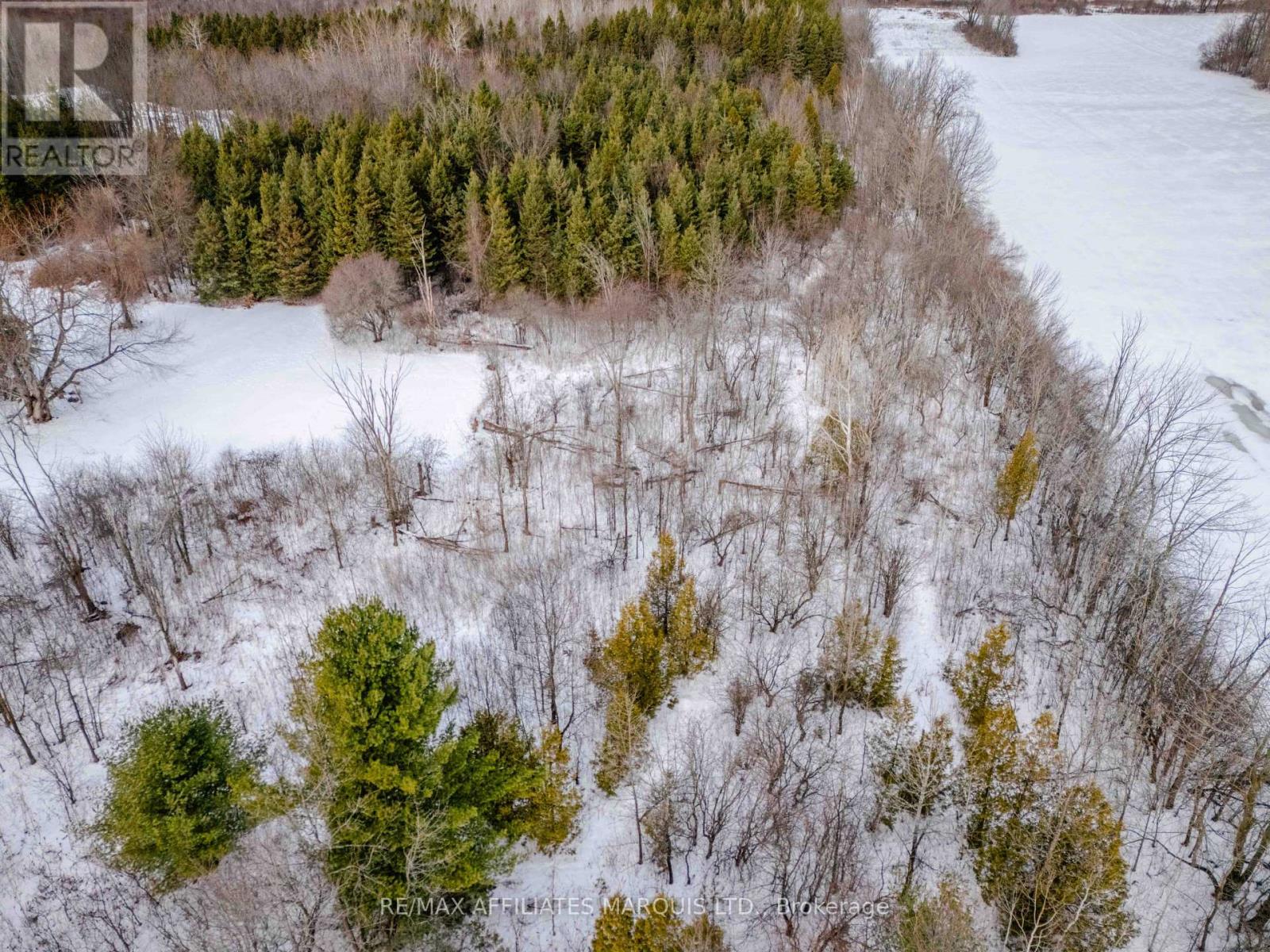 Lot Kenyon Concession 1 Road, North Glengarry, Ontario  K0C 1A0 - Photo 11 - X12688512