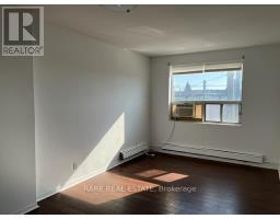 3 - 1434 QUEEN STREET W, Toronto, Ontario