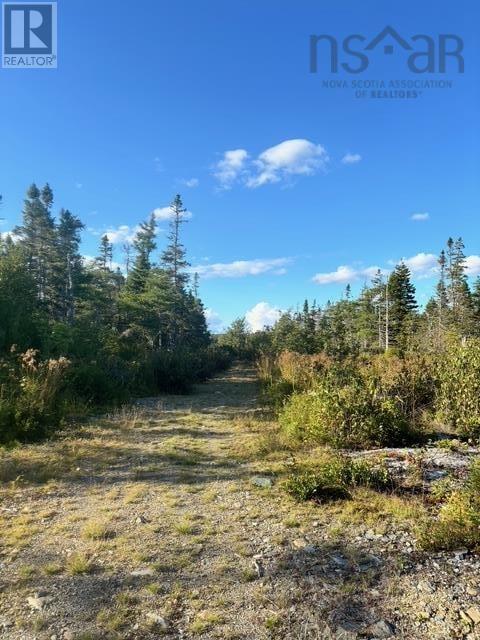 Lot 2 Highway 7, Port Dufferin, Nova Scotia  B0J 2R0 - Photo 21 - 202523230