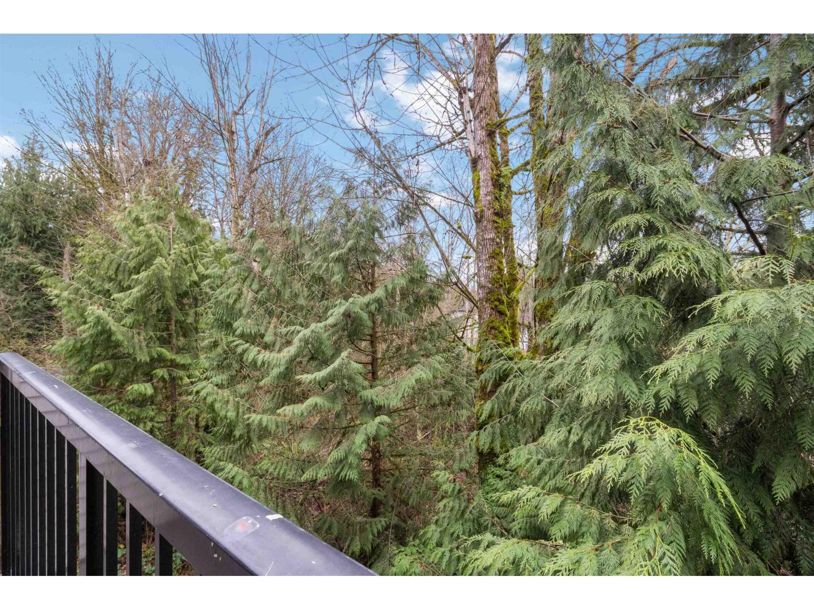 112 4401 Blauson Boulevard, Abbotsford, British Columbia  V3G 0A4 - Photo 24 - R3078099