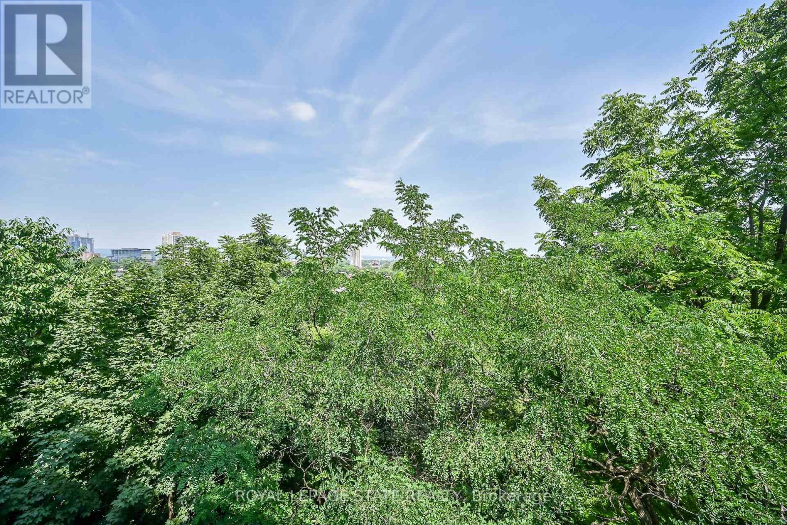 307 - 455 Charlton Avenue E, Hamilton, Ontario  L8N 0B2 - Photo 17 - X12688630