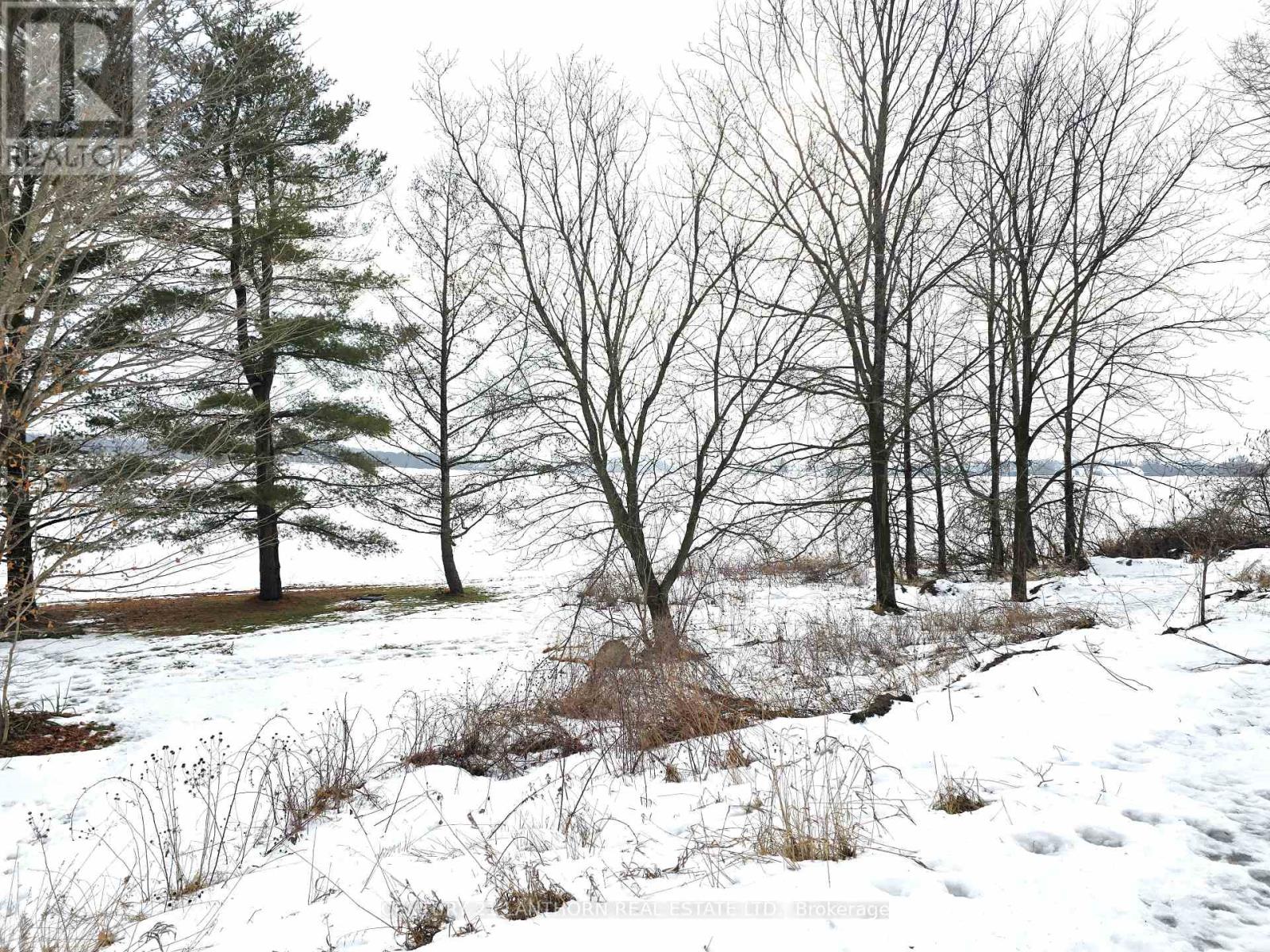 87 Rorabeck Road, Quinte West, Ontario  K8V 5P8 - Photo 27 - X12688724