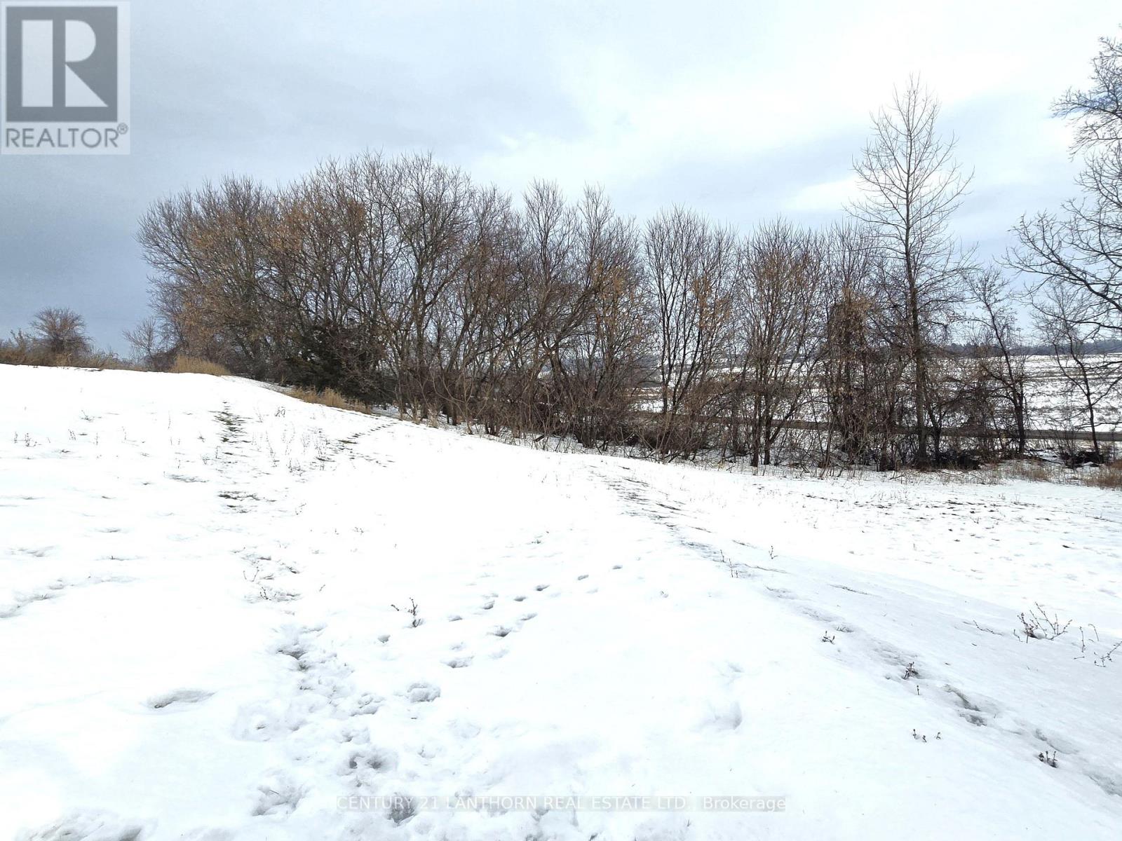 87 Rorabeck Road, Quinte West, Ontario  K8V 5P8 - Photo 30 - X12688724