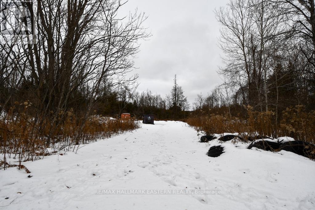 1970 Brown Line, Cavan Monaghan, Ontario  K9J 6Z9 - Photo 29 - X12688728