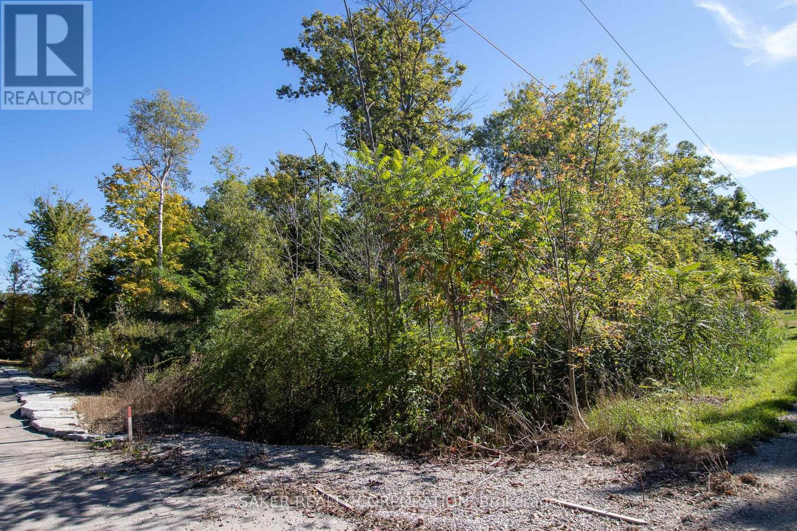 22480 Troops Road, Strathroy-Caradoc, Ontario  N0L 1W0 - Photo 3 - X12687838