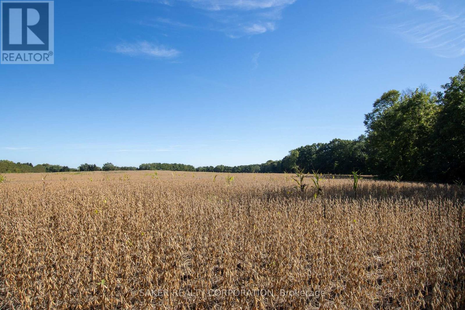 22580 Troops Road, Strathroy-Caradoc, Ontario  N0L 1W0 - Photo 4 - X12687824