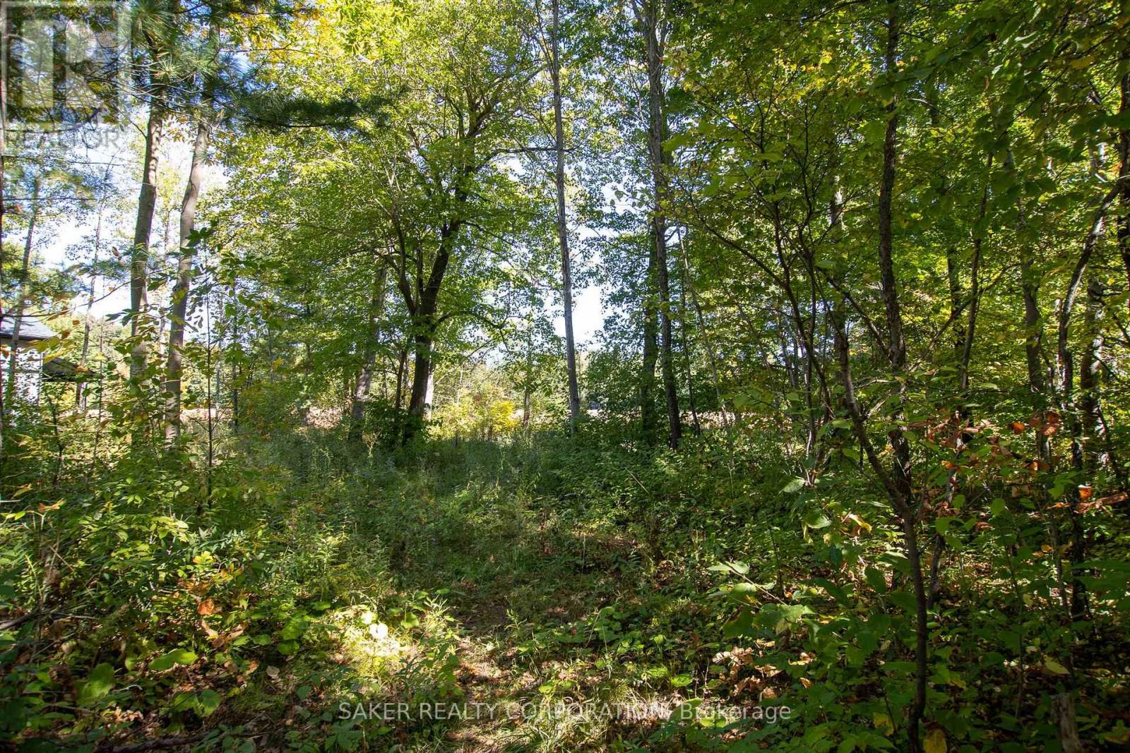 22480 Troops Road, Strathroy-Caradoc, Ontario  N0L 1W0 - Photo 9 - X12687838