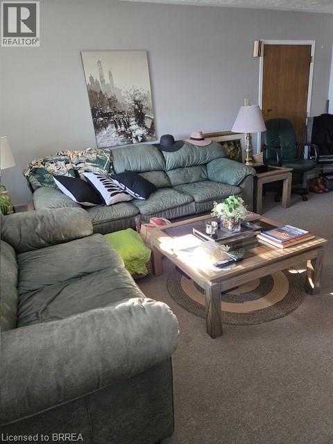 251 William Street, Delhi, Ontario  N4B 1N1 - Photo 7 - 40797447