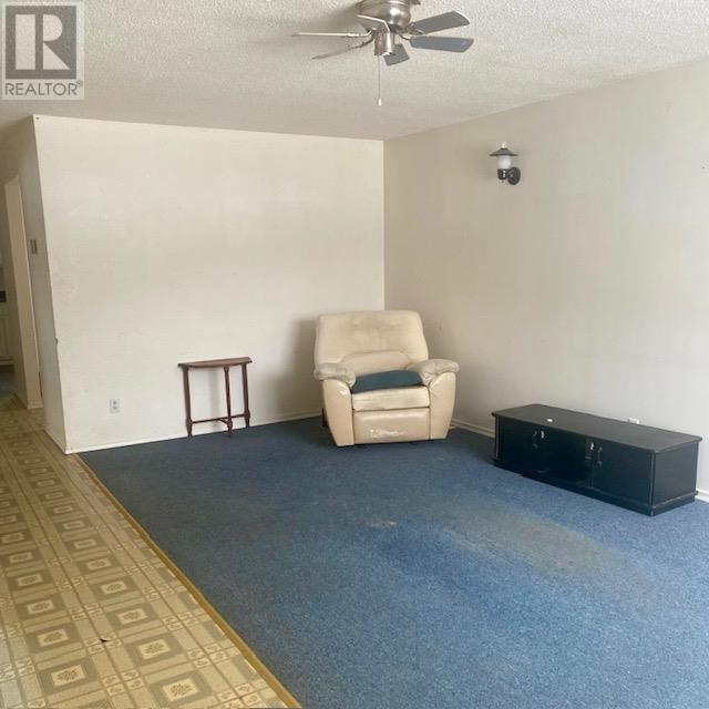 137 Queen Ave, Geraldton, Ontario  P0T 1M0 - Photo 3 - TB2600049