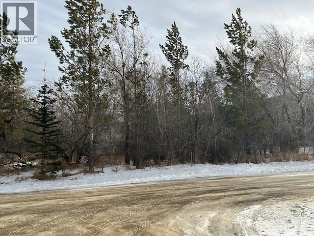 Lots 16 And 17 Herbert Street, Caron Rm No. 162, Saskatchewan  S0H 0R0 - Photo 6 - SK026663