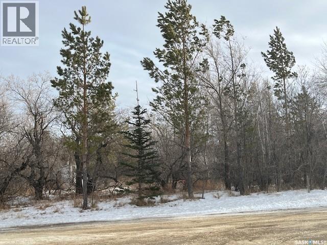 Lots 16 And 17 Herbert Street, Caron Rm No. 162, Saskatchewan  S0H 0R0 - Photo 7 - SK026663