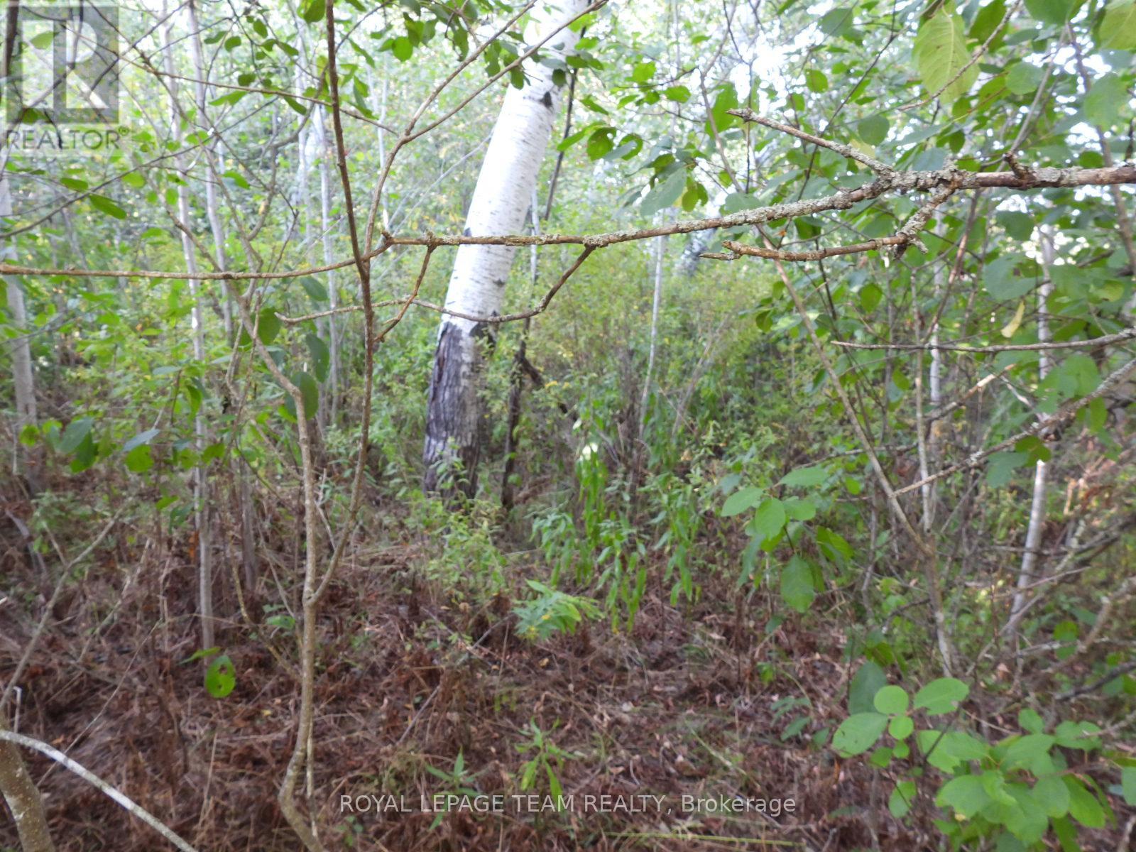 2710 Dunrobin Road, Ottawa, Ontario  K0A 1T0 - Photo 20 - X12569116