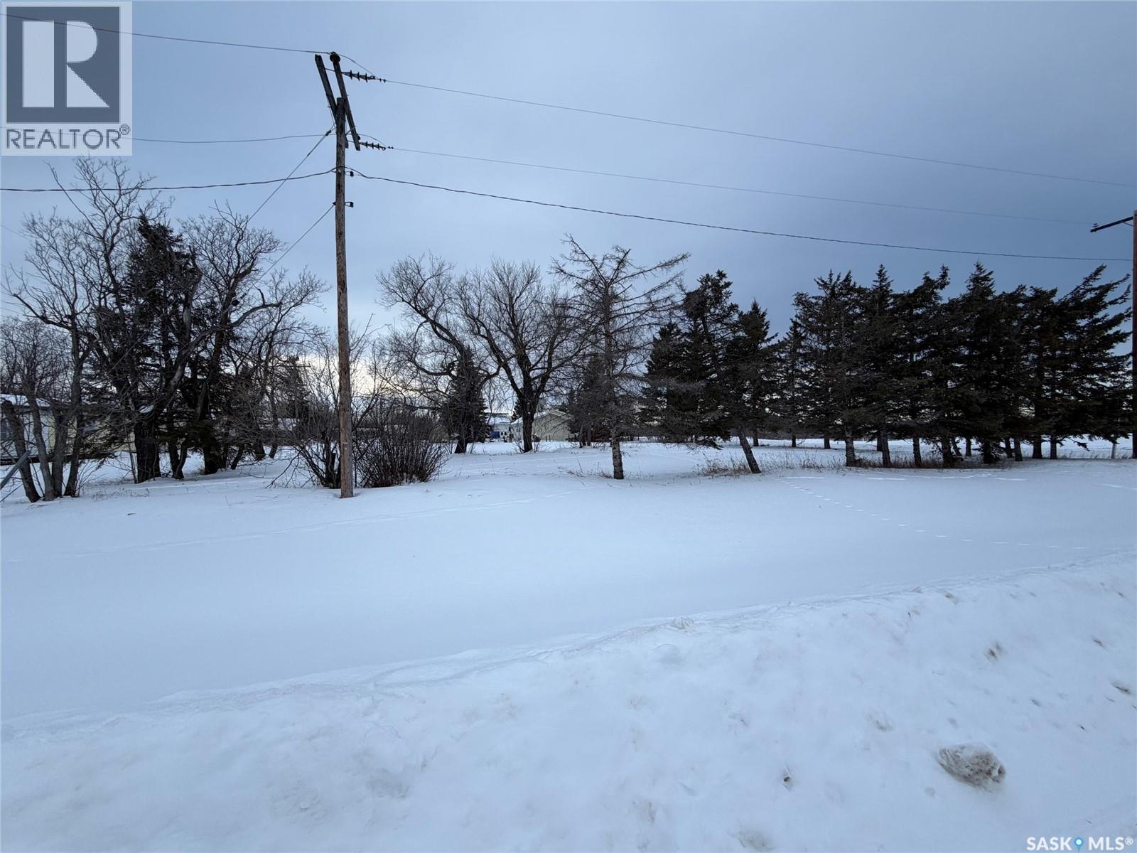 Currie-Erwood, Hudson Bay Rm No. 394, Saskatchewan  S0E 0Y0 - Photo 3 - SK000378