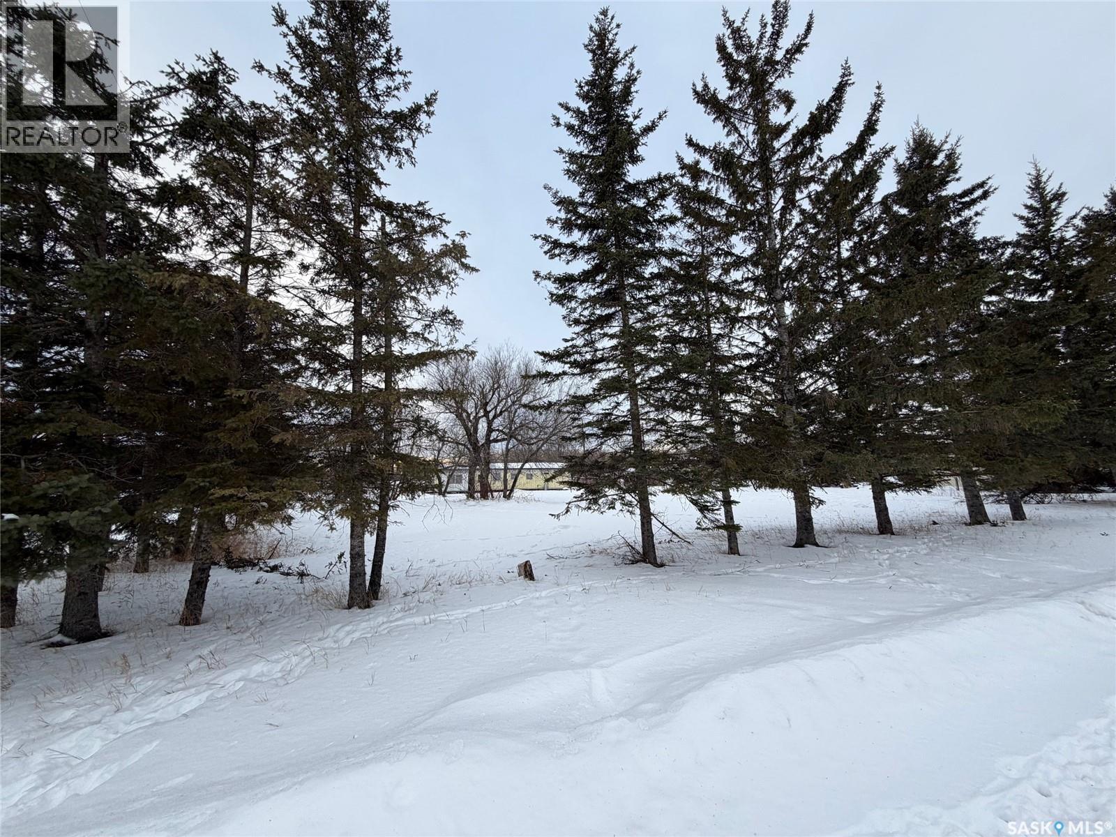 Currie-Erwood, Hudson Bay Rm No. 394, Saskatchewan  S0E 0Y0 - Photo 5 - SK000378