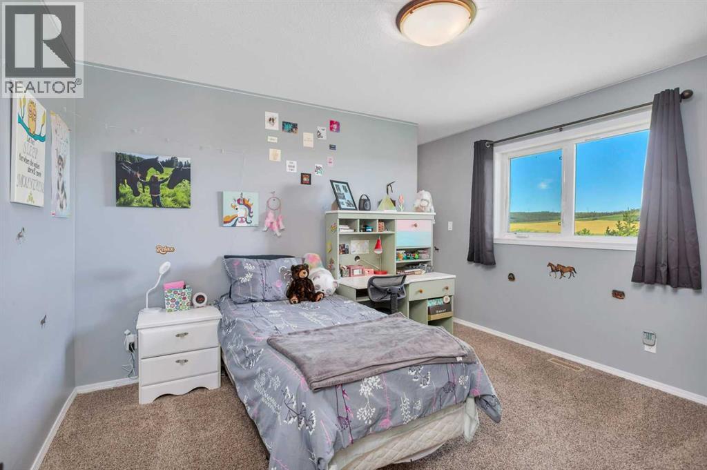 394073 Range Road 44, Rural Clearwater County, Alberta  T0M 1H0 - Photo 26 - A2255410