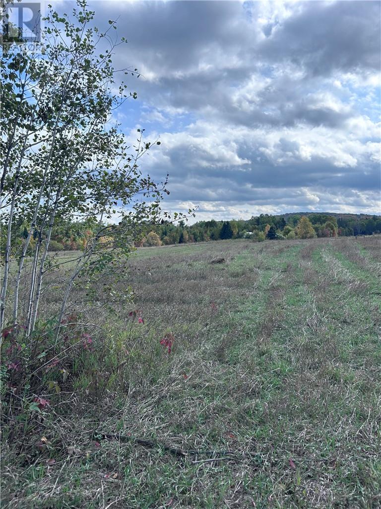 465 Mallard Lake Drive, Bancroft, Ontario  K0L 1C0 - Photo 3 - 2126074