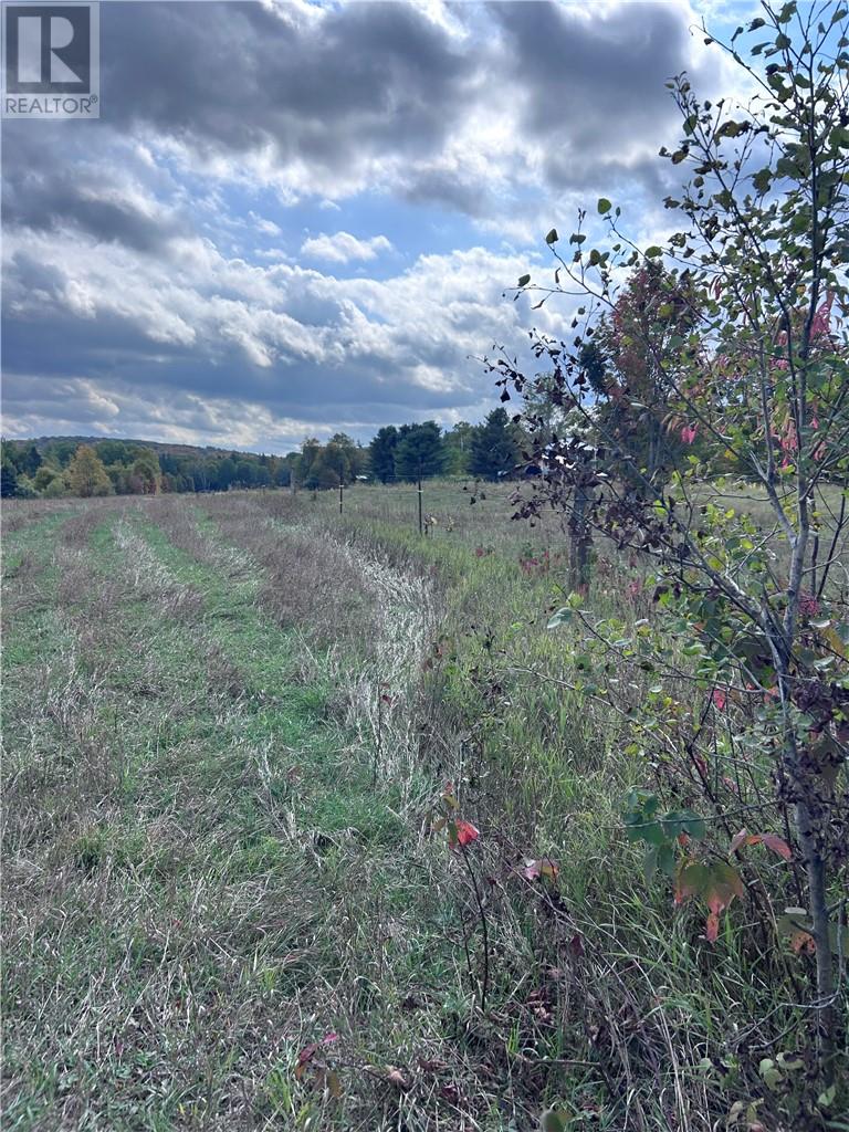 465 Mallard Lake Drive, Bancroft, Ontario  K0L 1C0 - Photo 4 - 2126074