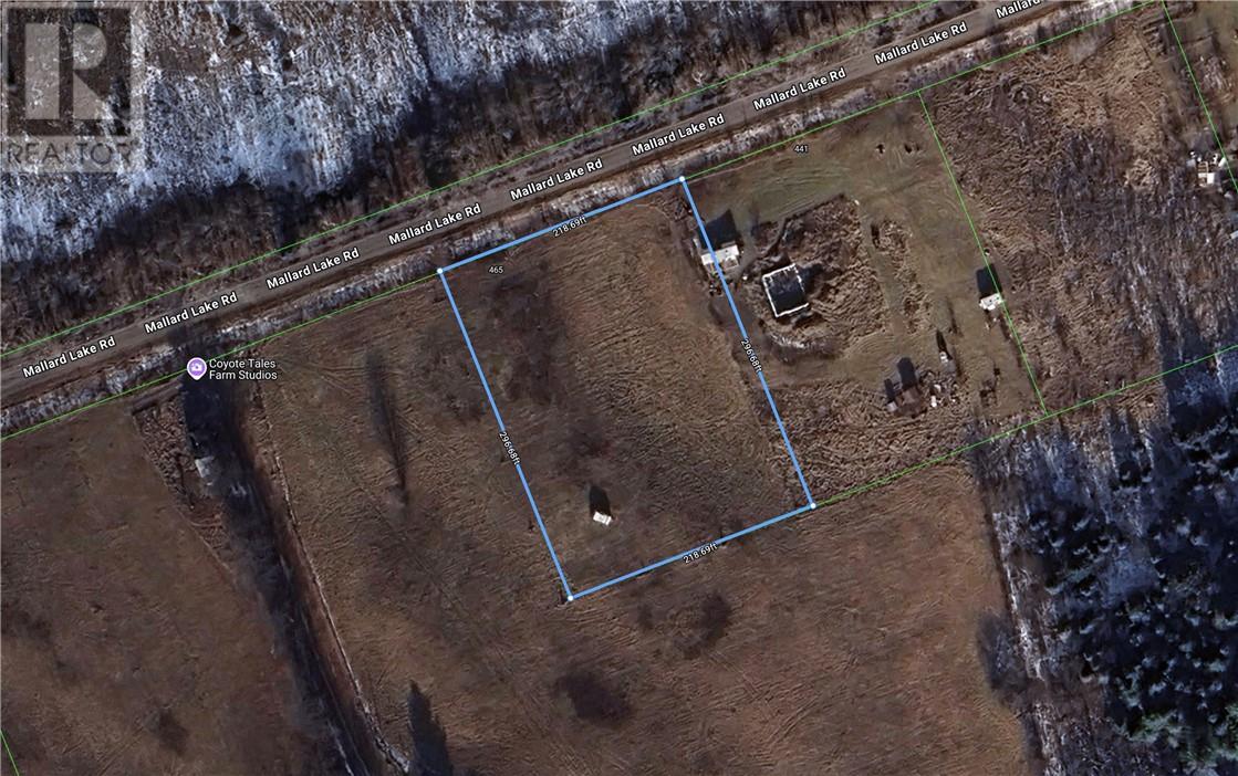 465 Mallard Lake Drive, Bancroft, Ontario  K0L 1C0 - Photo 5 - 2126074