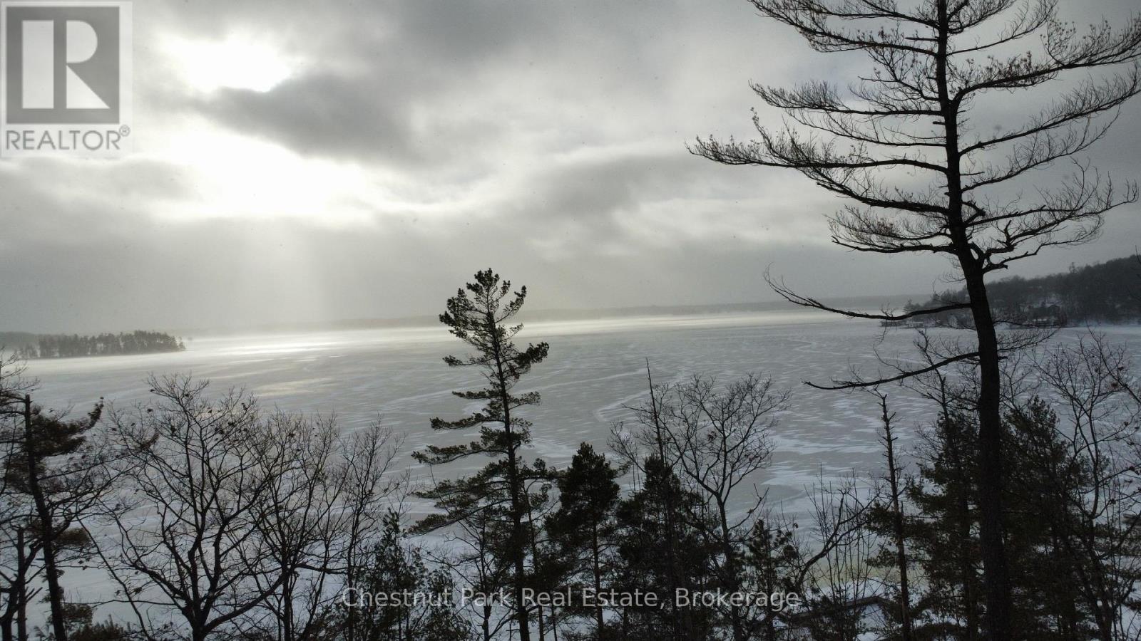 E206b1 - 1869 Muskoka 118 Road W, Muskoka Lakes, Ontario  P1L 1W8 - Photo 15 - X12688014