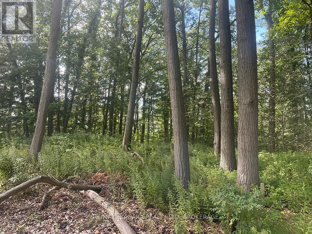 Pt 1 & 2 Firelane 3 Road, Port Colborne, Ontario  L3K 5V5 - Photo 3 - X12689322