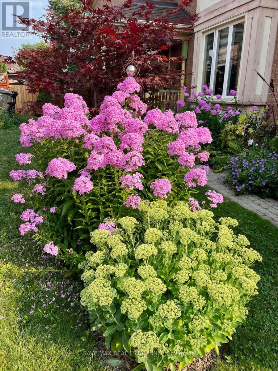 13 Pressed Brick Drive, Brampton, Ontario  L6V 4K8 - Photo 46 - W12659396