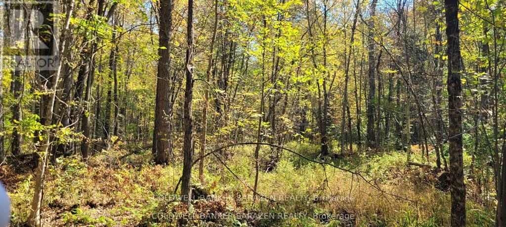 Pt/lot 21 Concession 3 Road, Drummond/north Elmsley, Ontario  K7H 3C7 - Photo 4 - X12689254