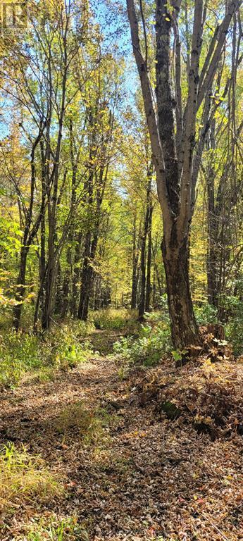 Pt/lot 21 Concession 3 Road, Drummond/north Elmsley, Ontario  K7H 3C7 - Photo 6 - X12689254