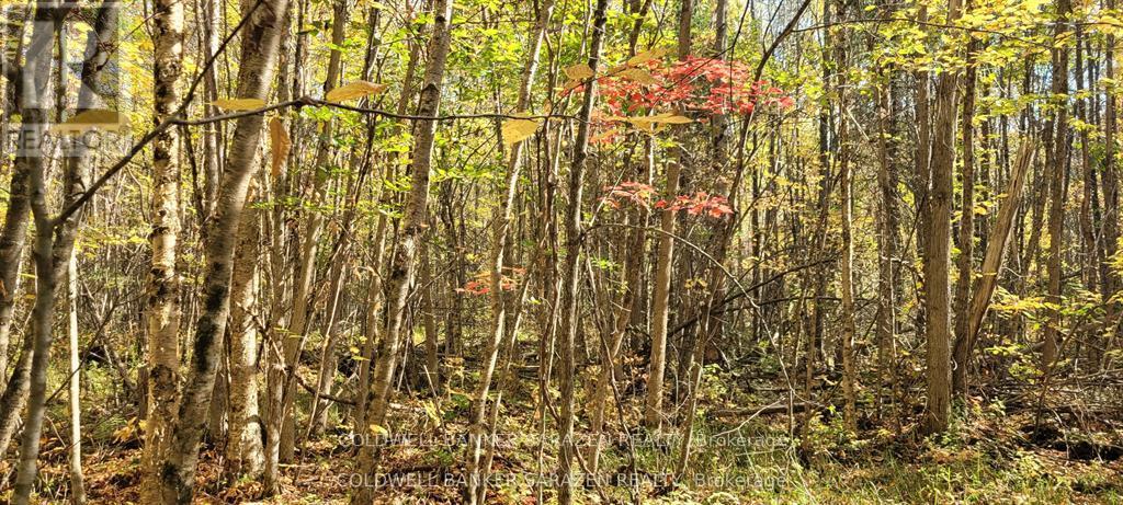 Pt/lot 21 Concession 3 Road, Drummond/north Elmsley, Ontario  K7H 3C7 - Photo 5 - X12689254