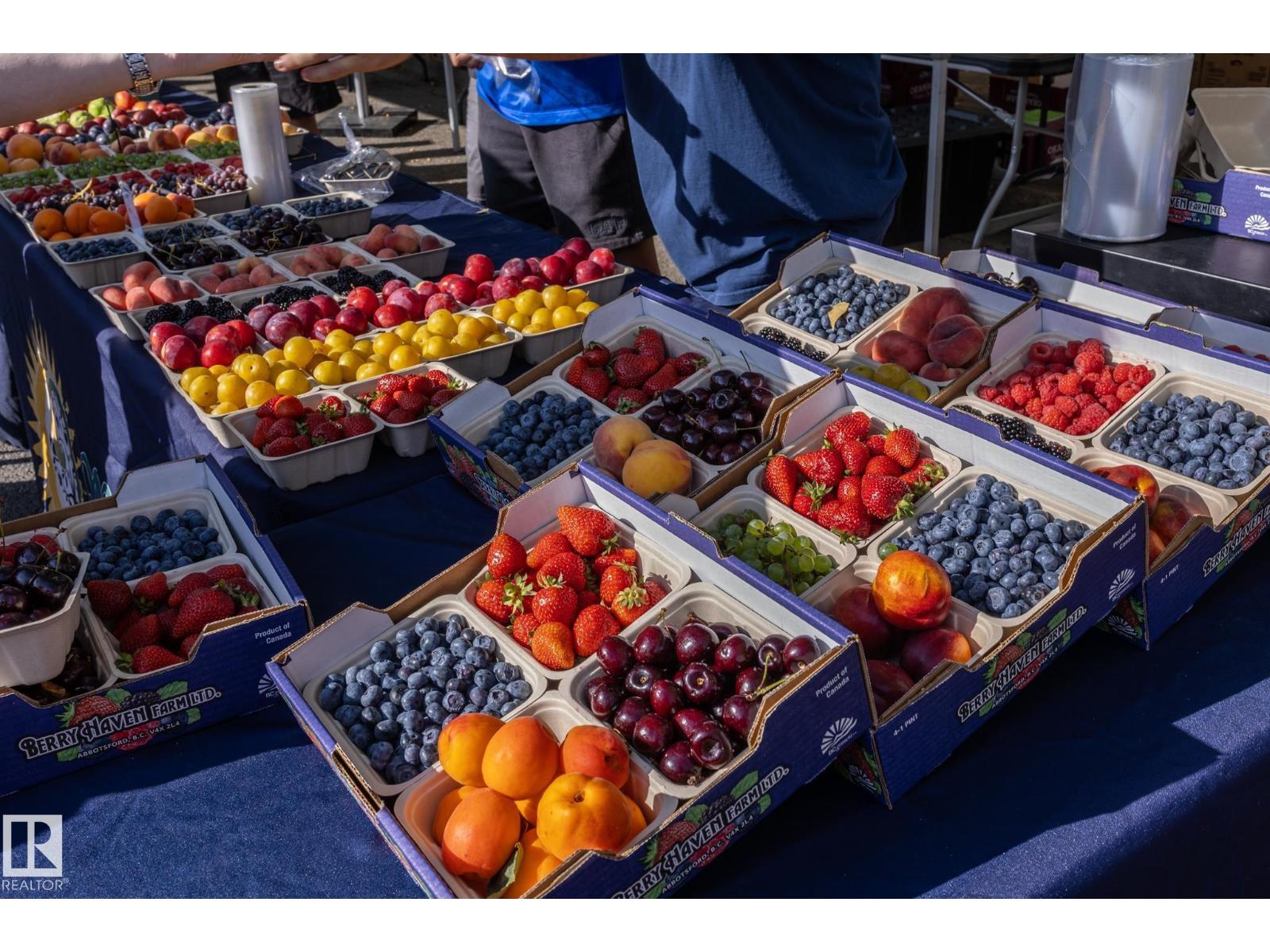 #304 14 Mission Av, St. Albert, Alberta  T8N 1H4 - Photo 28 - E4469211