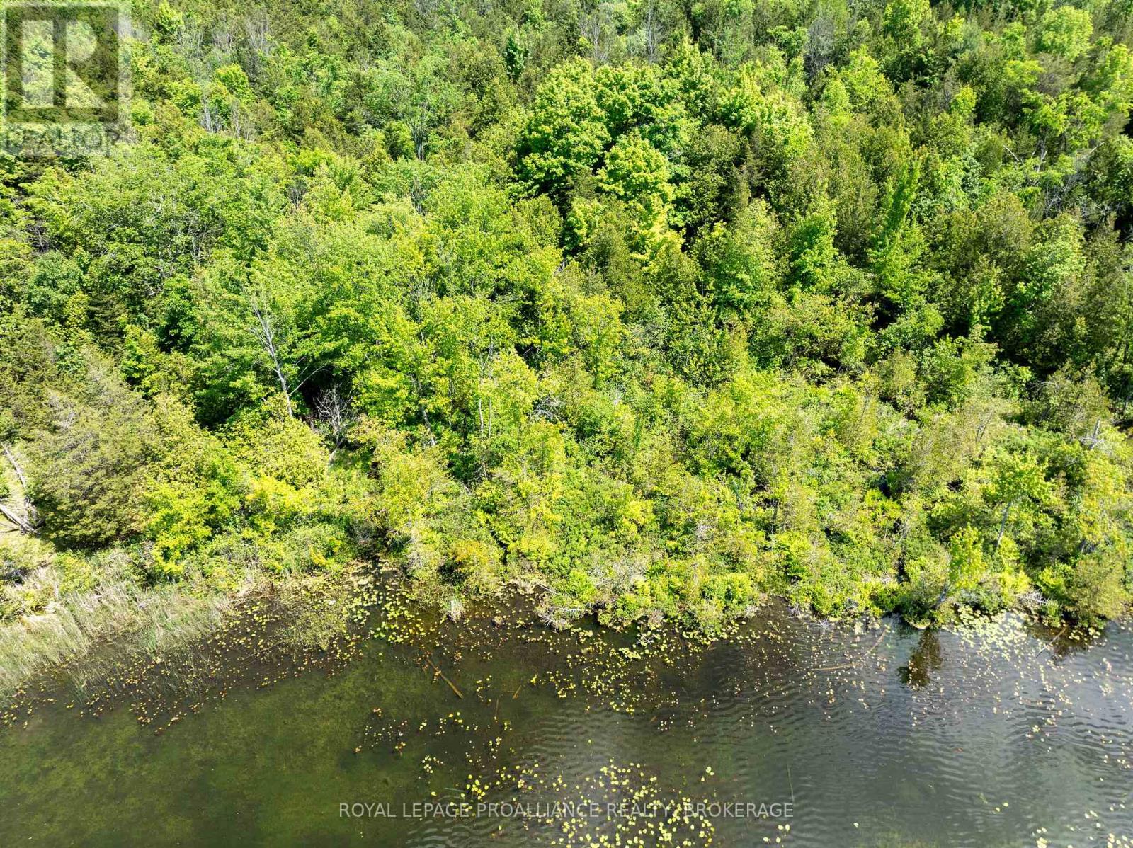 Lot 5 Applewood Lane, Frontenac, Ontario  K0H 1X0 - Photo 4 - X12689094