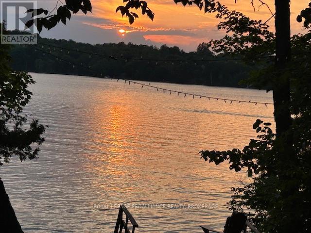 224 Island Drive, Frontenac, Ontario  K0H 2B0 - Photo 41 - X12688720