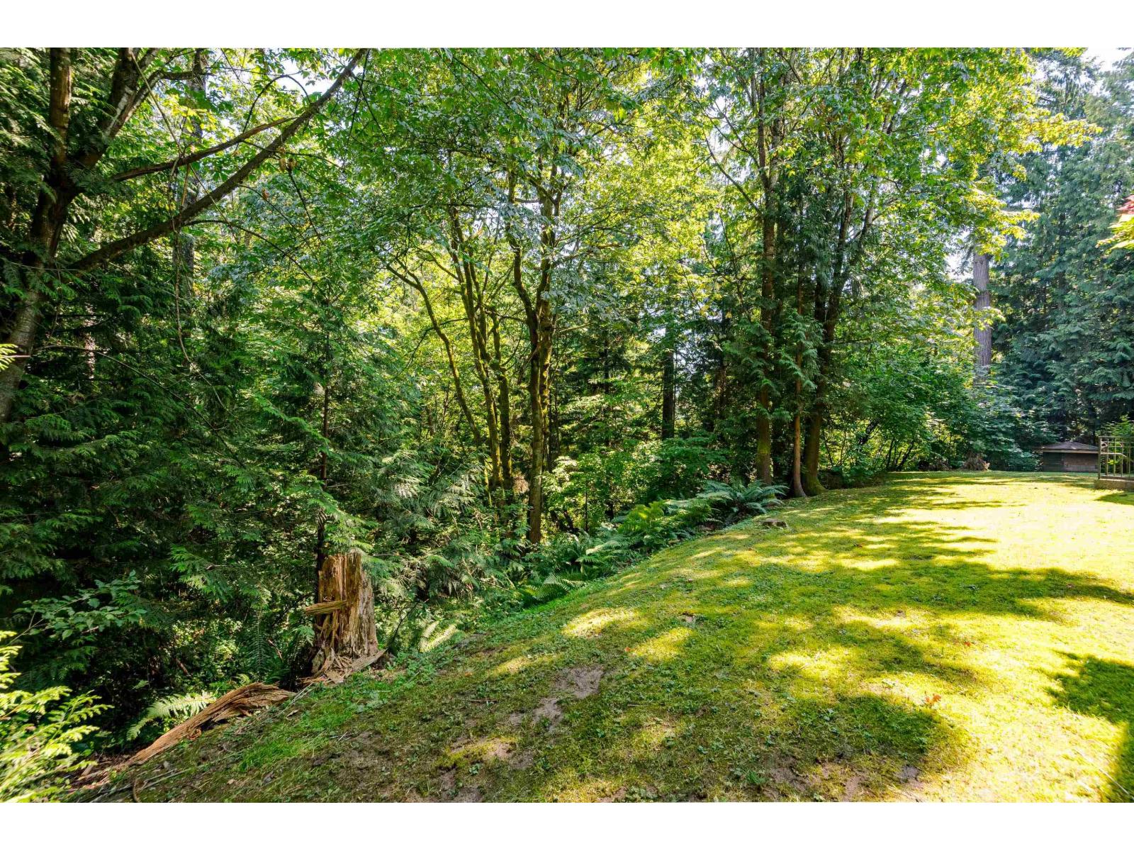 208 10320 156 Street, Surrey, British Columbia  V3R 4L8 - Photo 21 - R3056156