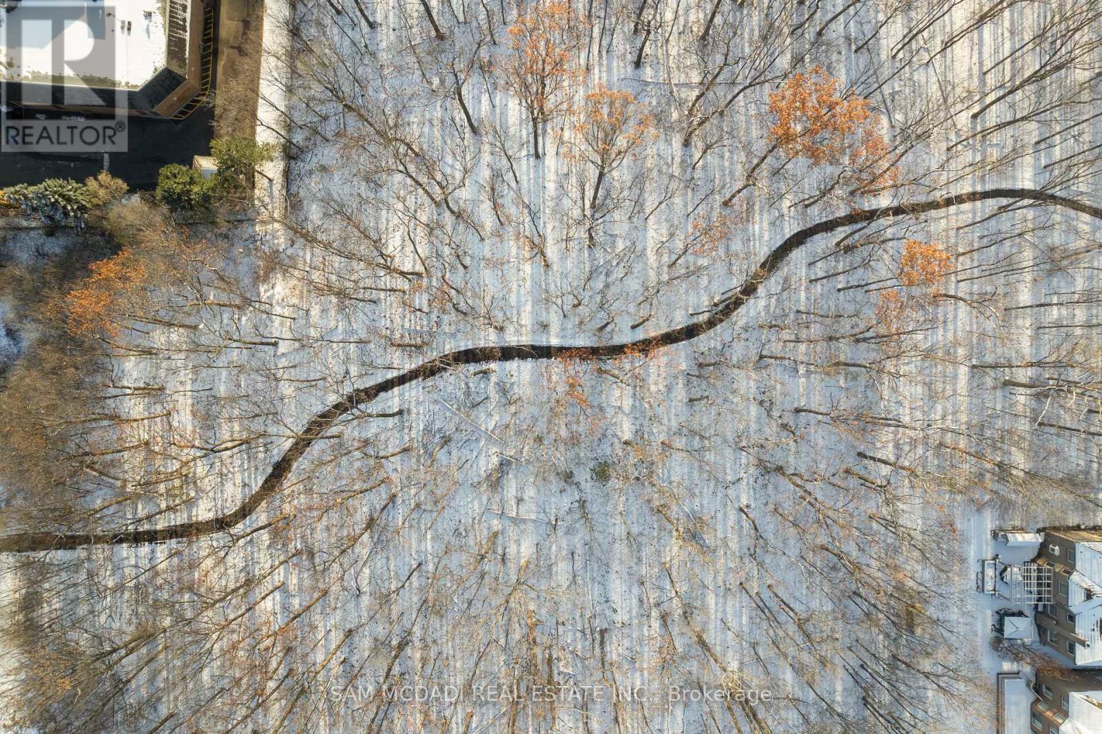 4873 Forest Hill Drive, Mississauga, Ontario  L5M 5B1 - Photo 44 - W12689622